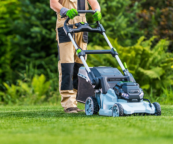 Lawn Mowing
